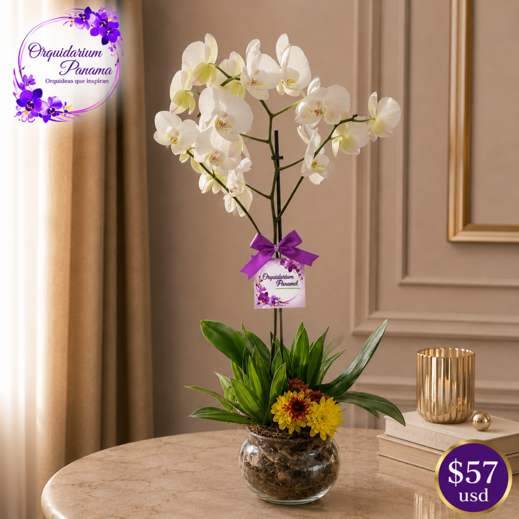 Arreglo de orquídeas, 1 vara floreada, modelo 3