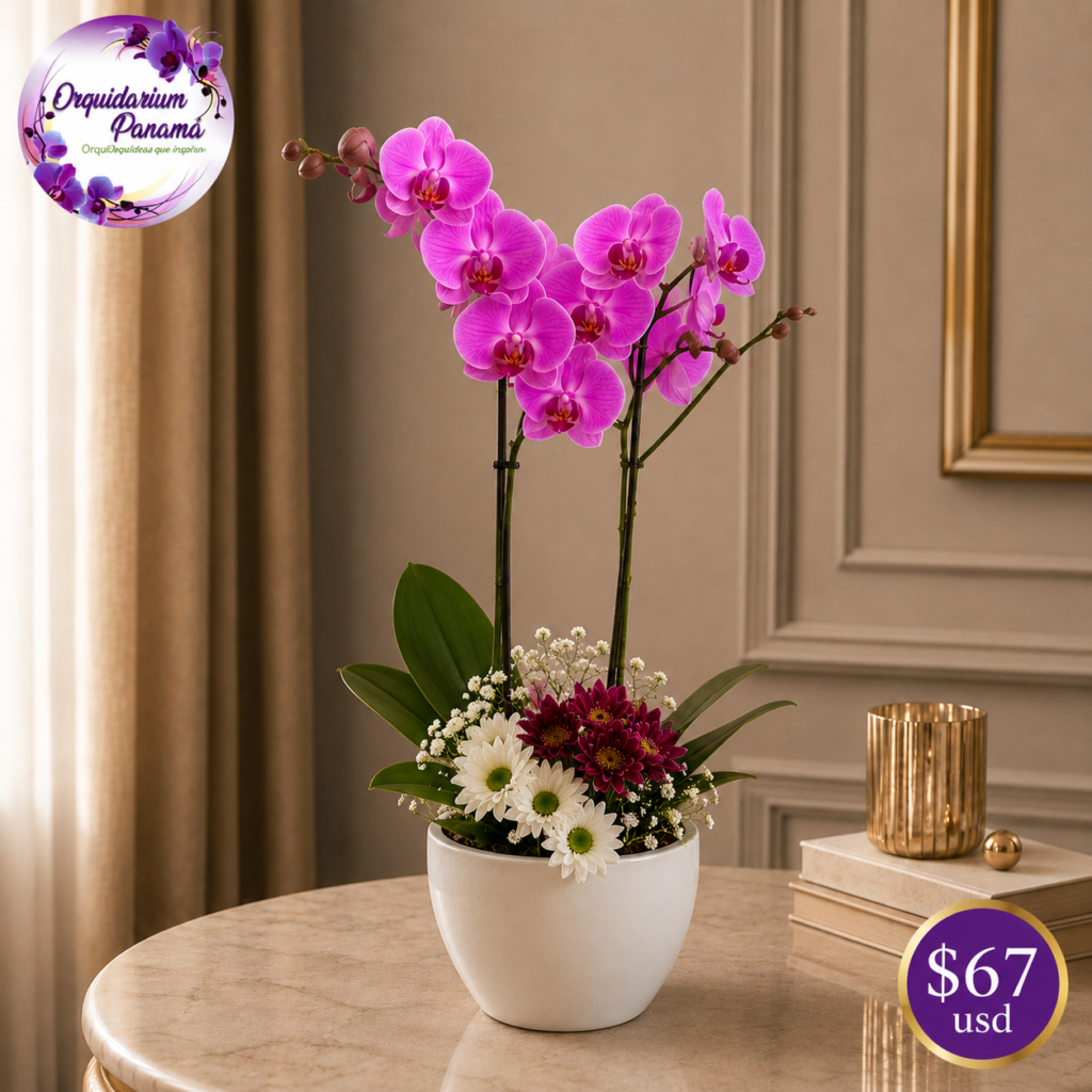 Arreglo de orquídeas, 2 varas floreadas, modelo 3