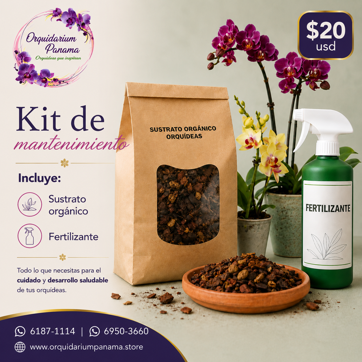 Muestra de colores de orquídeas disponibles para personalizar